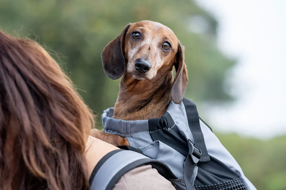 K9 Sports Sack | Trainer Dog Backpack Carrier | 4 Sizes | Iron Gate Grey