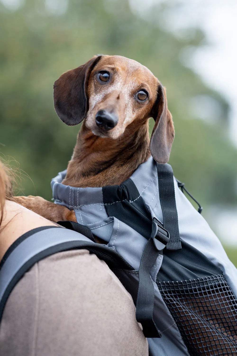 K9 Sports Sack | Trainer Dog Backpack Carrier | 4 Sizes | Iron Gate Grey