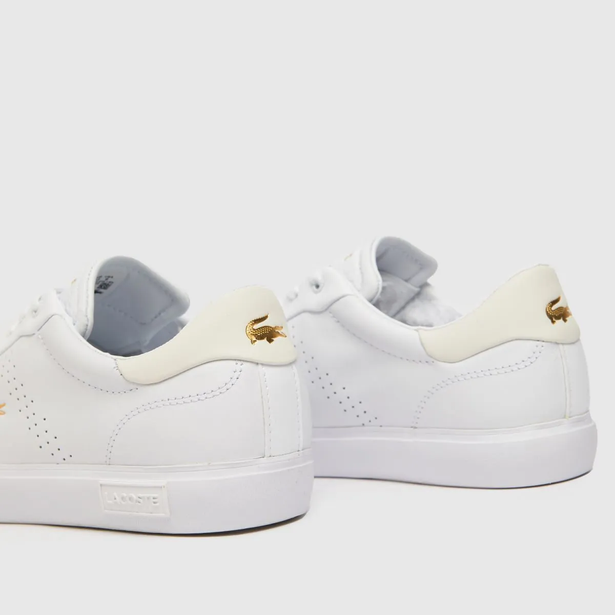 Womens Powercourt 1122 - White/Gold